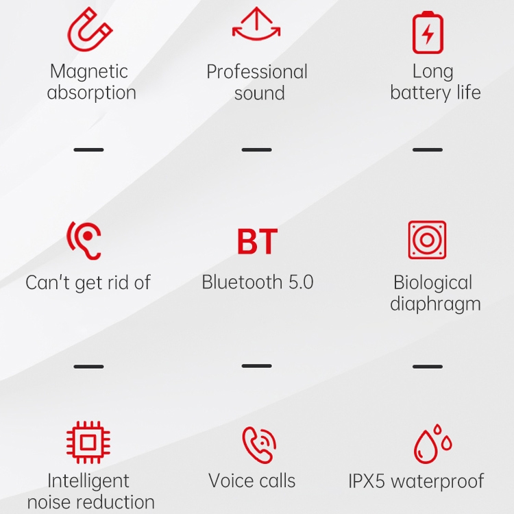 IP6D1162_2 IP6D1162_2